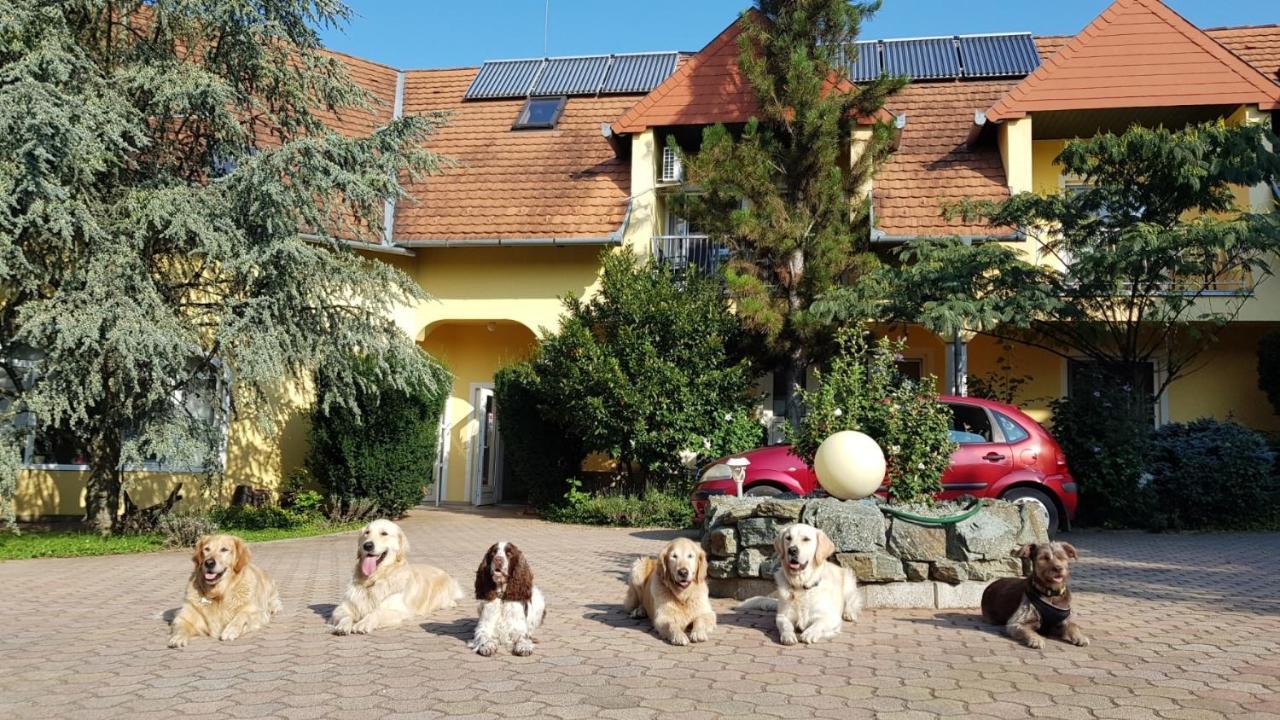 Maison d'hôtes Wagner Panzio Cserszegtomaj